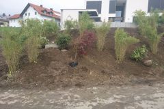IMG-20190503-WA0002