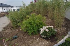 IMG-20190504-WA0000