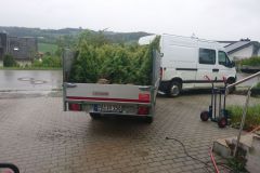 1616615895918